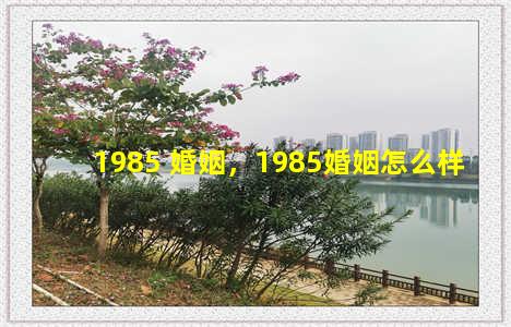 1985 婚姻，1985婚姻怎么样